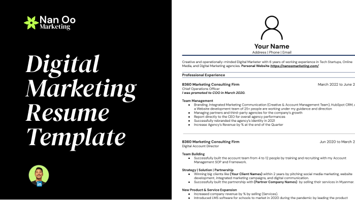 Digital Marketing Resume Template